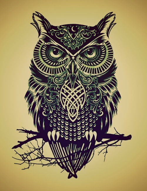 nntOwl